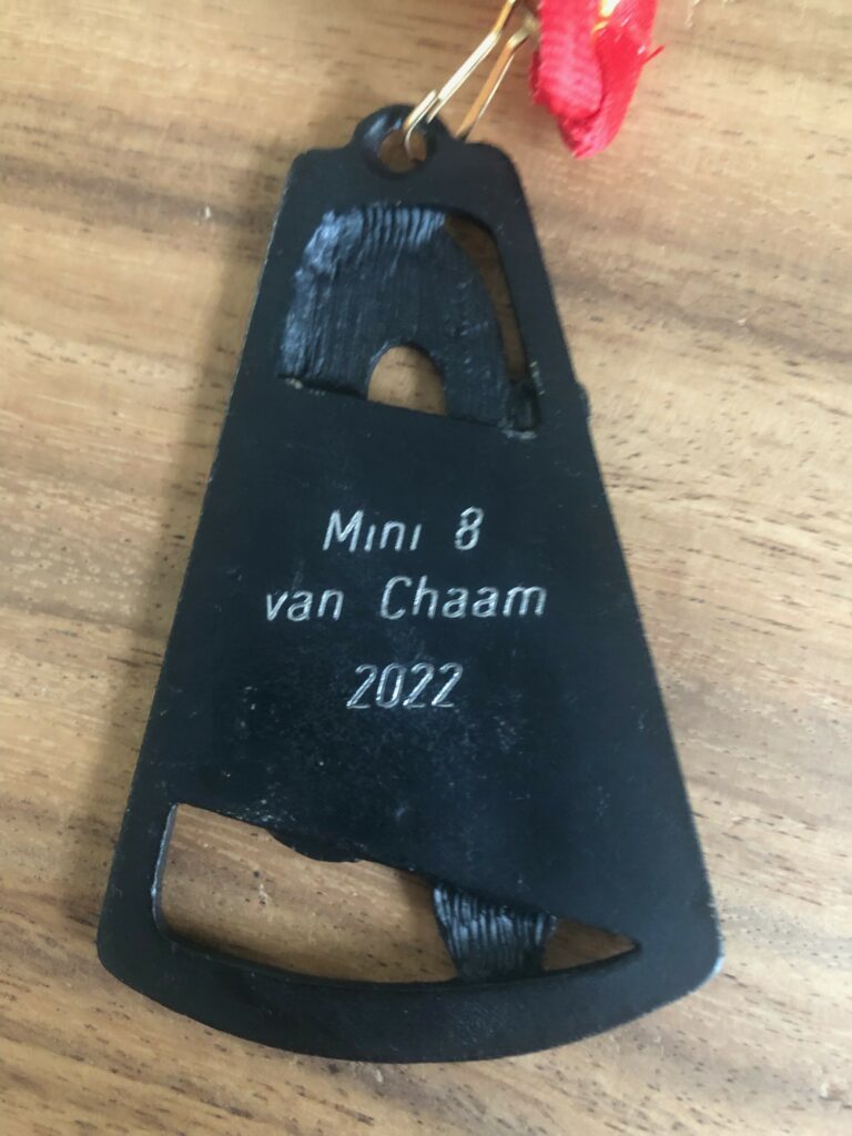 2022 Weg 20220427 Mini 8 Van Chaam 3 768x1024